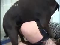 [ Animal Sex ] Horny woman wishes a doggy fuck